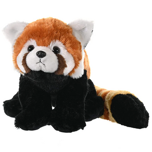 Cuddlekins Red Panda