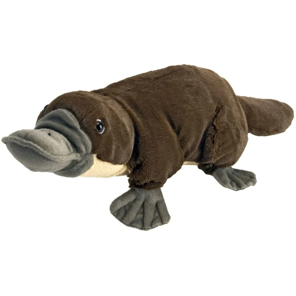 Cuddlekins Platypus