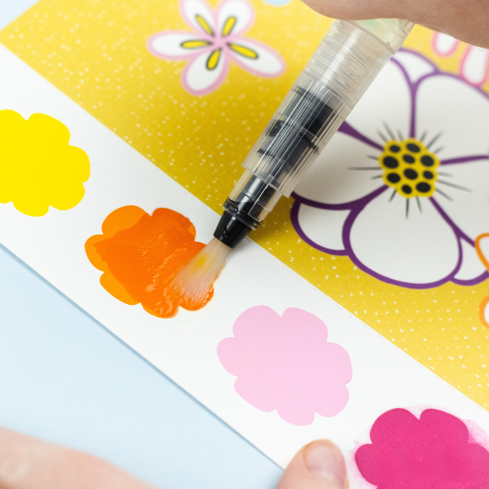Paint a Picture Set - Butterflies & Flowers