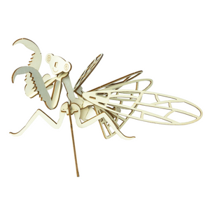Wooden Build-A-Bug Assorted