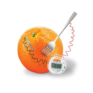Steam Powered Kids - Kitchen Science