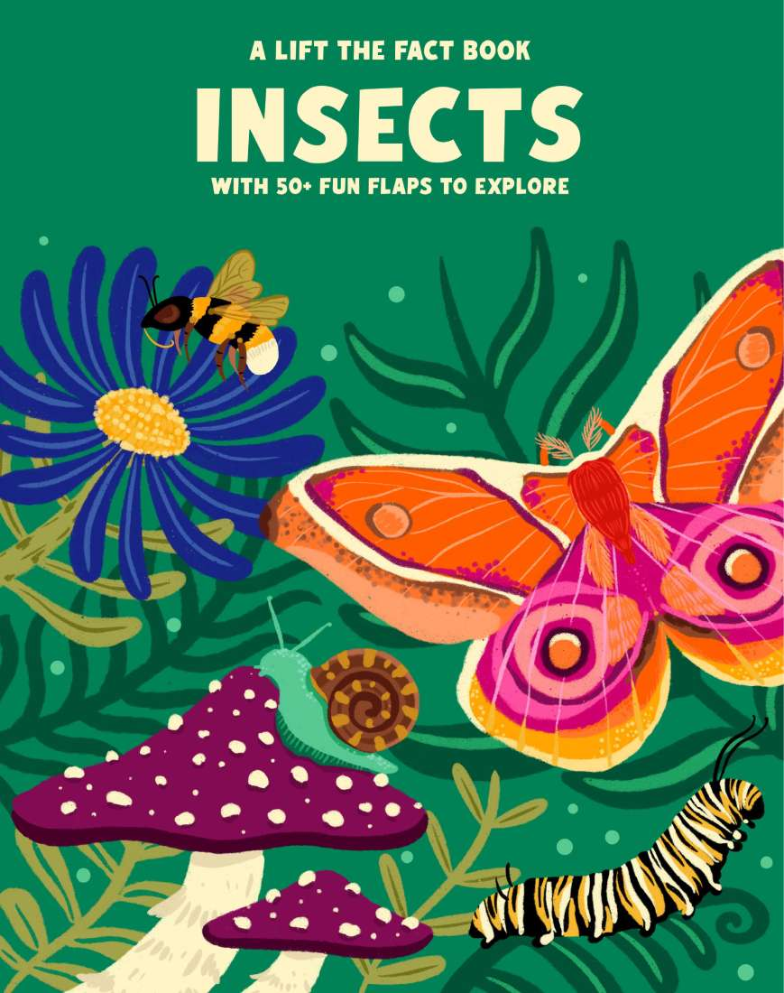 Lift the Fact Book Insects