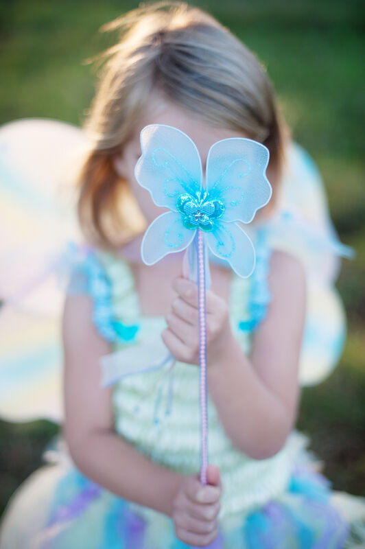 Green/Blue/Purple Butterfly Dress & Wings with Wand - Size 5-6