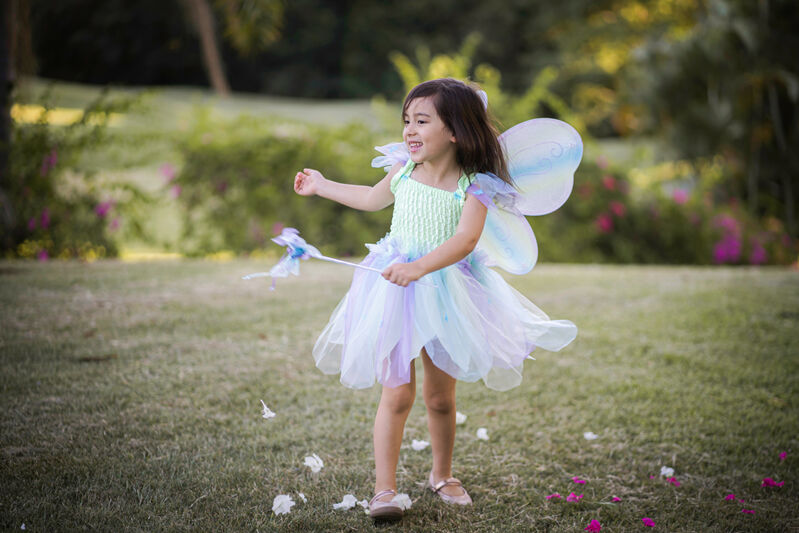 Green/Blue/Purple Butterfly Dress & Wings with Wand - Size 5-6