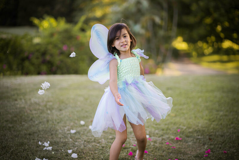 Green/Blue/Purple Butterfly Dress & Wings with Wand - Size 5-6