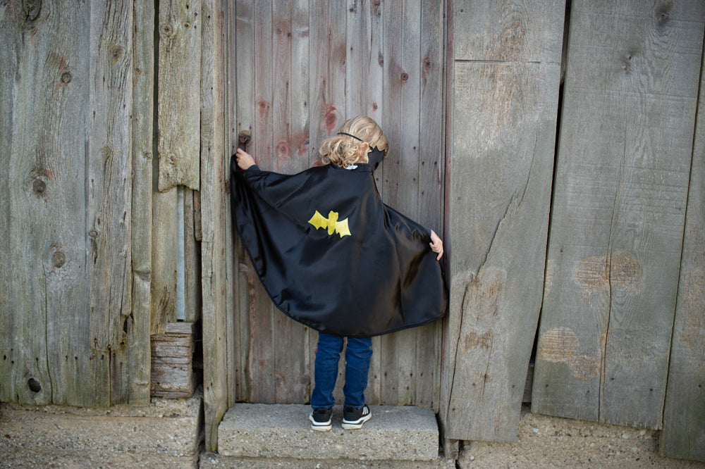 Reversible Spider & Bat Cape - Size 4-6 years