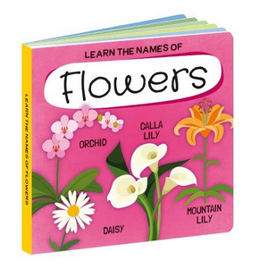 World Of Flowers - Book & Puzzle Set