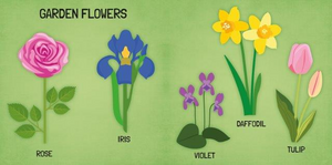 World Of Flowers - Book & Puzzle Set