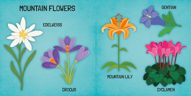 WORLD OF FLOWERS - BOOK & PUZZLE SET