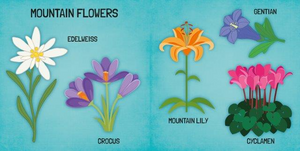 World Of Flowers - Book & Puzzle Set