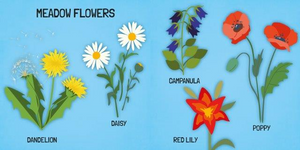 World Of Flowers - Book & Puzzle Set