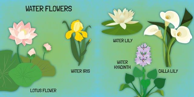 World Of Flowers - Book & Puzzle Set