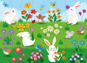 World Of Flowers - Book & Puzzle Set