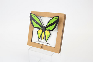 SQAR Green Butterfly (ornithoptera paradisea)