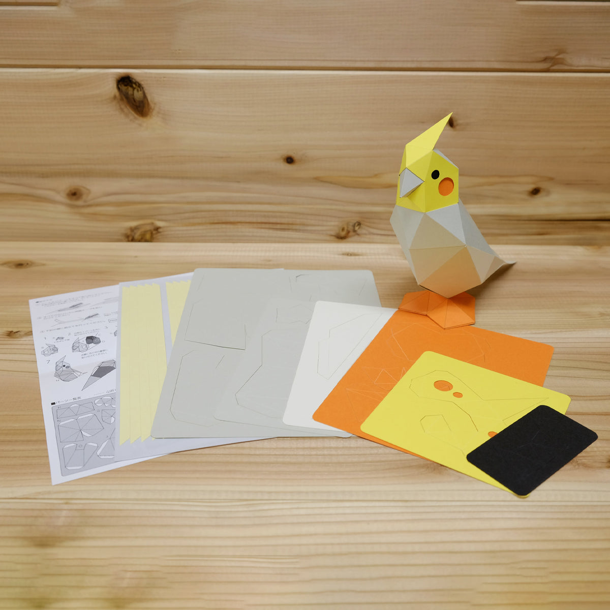 Kaku Kaku - Tiny Cockatiel