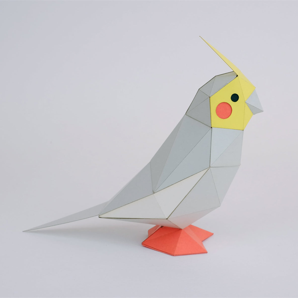 Kaku Kaku - Tiny Cockatiel