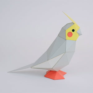 Kaku Kaku - Tiny Cockatiel