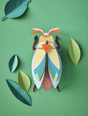 Studio Roof - Wall Art - Lunar Jewel Beetle