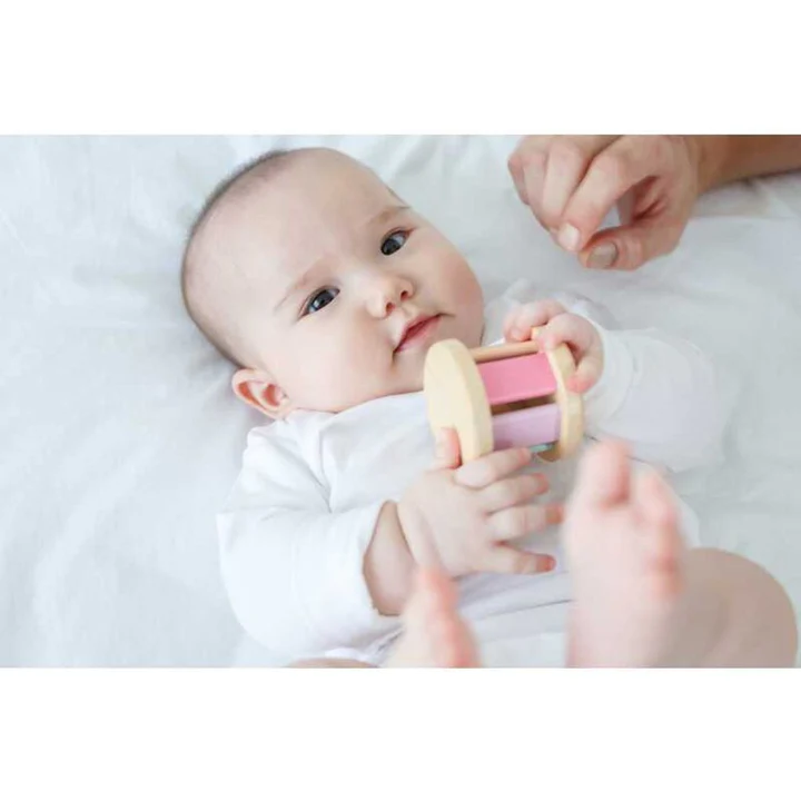 Plantoys - Roller - Pastel