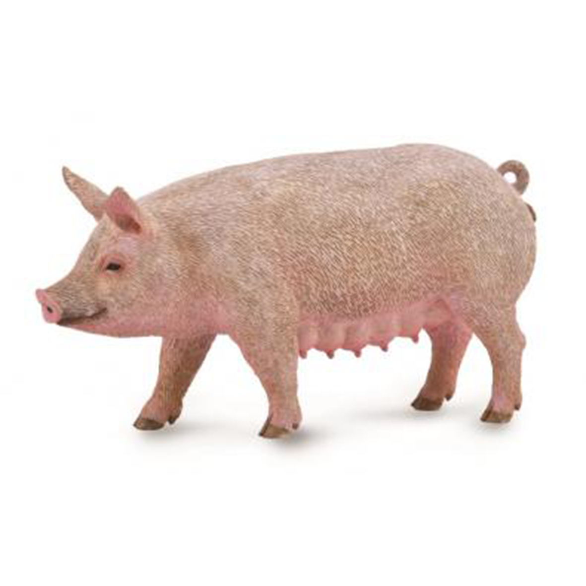 Collecta Sow (M)
