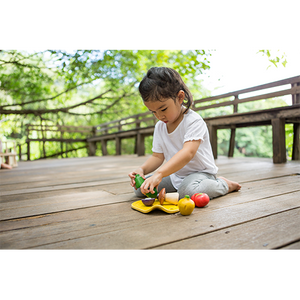 PLANTOYS - ASSORTED VEGETABLE SET