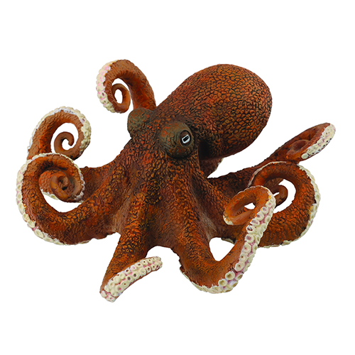 Collecta Octopus